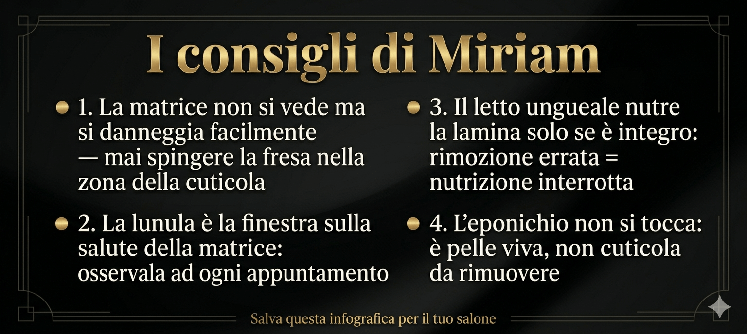 infografica anatomia dell'unghia con i consigli di Miriam Barca per onicotecniche professioniste